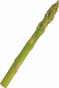 4576fdo.png