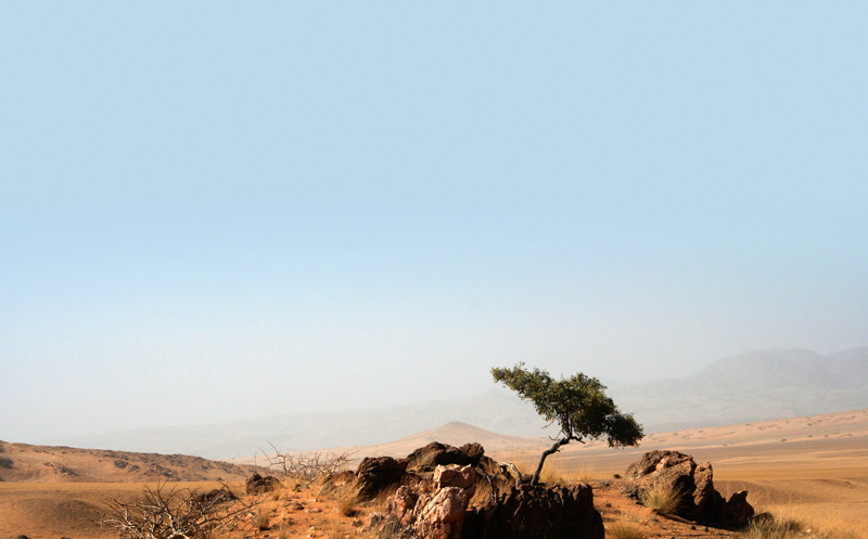 IMG_2303-3-a.png