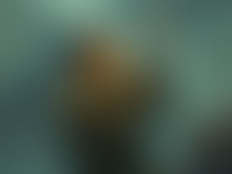 Stevenson-Flux Information Density ($S_{FID}$)