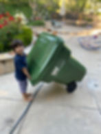ree