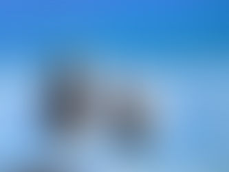 My First Gallery Showing: Pastels. By Catherine Lieblich. Coronavirus Update - Day 147 and Counting.