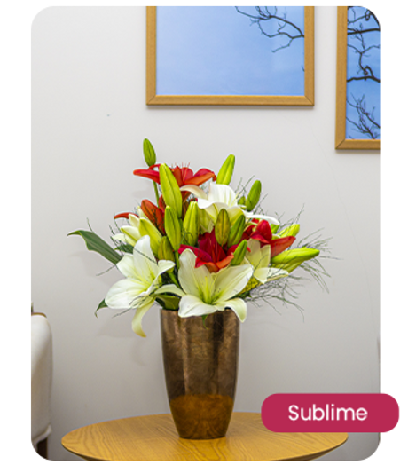 sublime.png