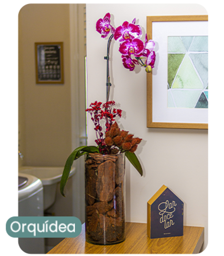 orquidea.png