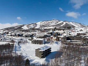 Tomt Slåttastølen.jpg
