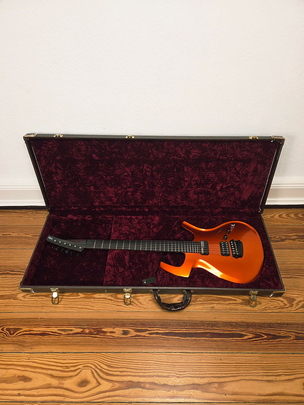 Miniaturbild: Parker Adrian Belew Signature Fly '09