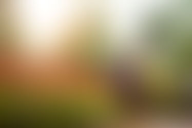 Abigail + Stewart's Engagement