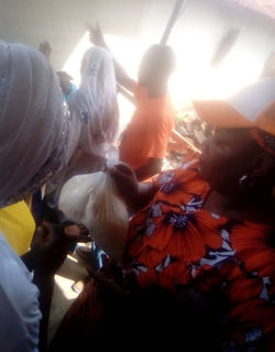 Screenshot_20230825_153630_WhatsApp - Copy