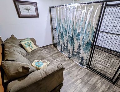 Grace Wood Farm Crape Myrtle Location - Sheepadoodle Puppies for Sale