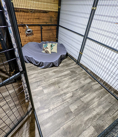 Grace Wood Farm Crape Myrtle Location - Sheepadoodle Puppies for Sale