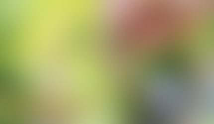 2026 Yılında Kira Hukukunda Güncel Gelişmeler: Ev Sahibi ve Kiracı Hakları