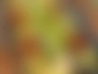 鶏むね肉のハーブグリル(ver2)