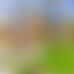 San Diego Homes Up 6.3%