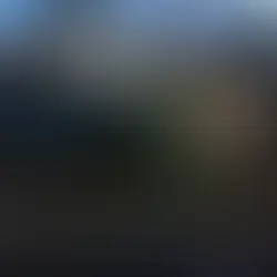 Things to do in San Diego January 2023