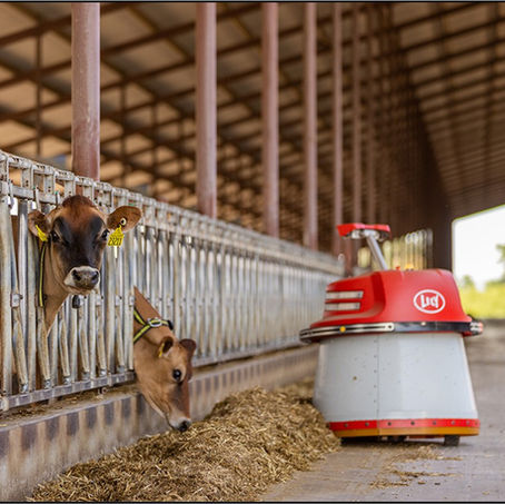 A feed pusher helps promote cow nutrition