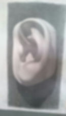 Ear Study