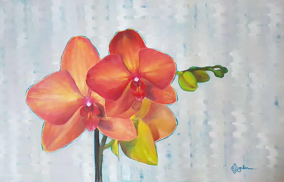 Modern Orchid