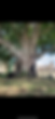 image5.png