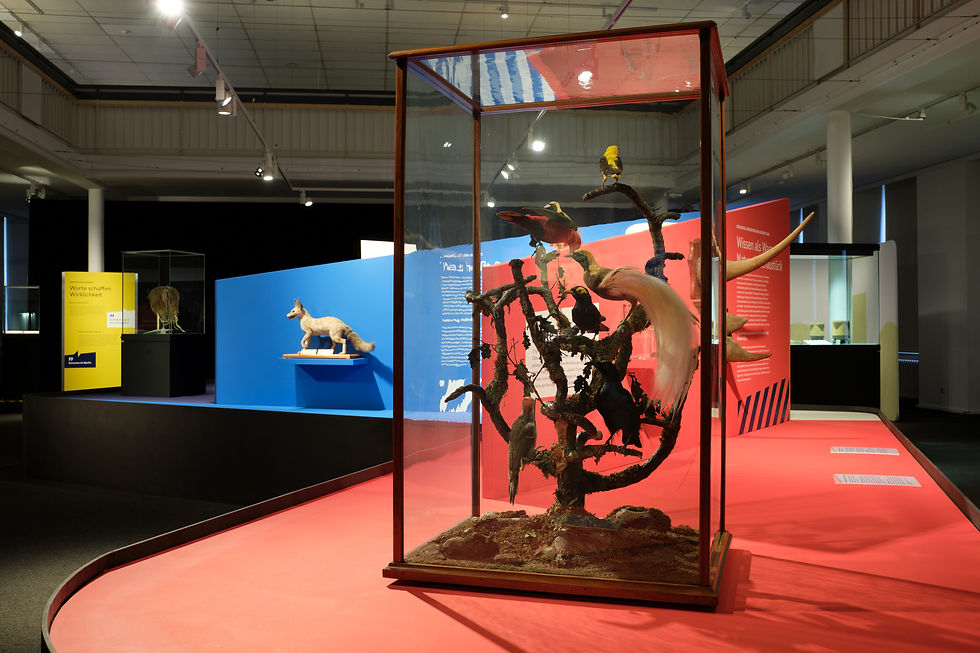 Ein Einblick in die aktuelle Aktionsfläche des Museums. Foto: reinert fotodesign