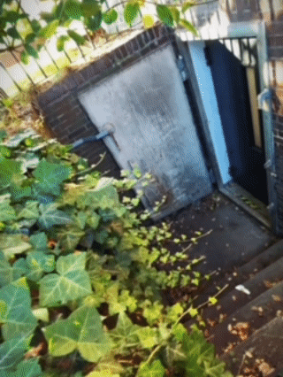 GIF: Kulturschnack