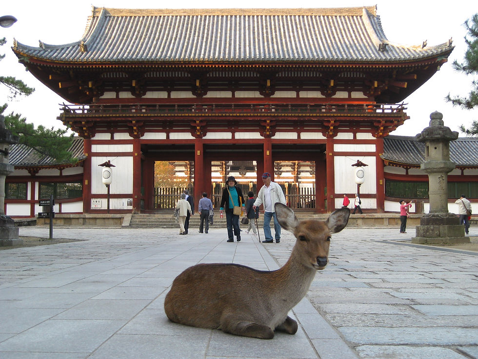 Giappone Nara