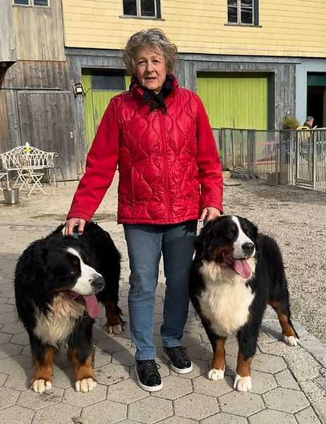 a8a308ef-7c4b-44f1-9af4-70b82746827c_edi