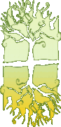 logo.gif