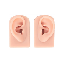 silicone ear model