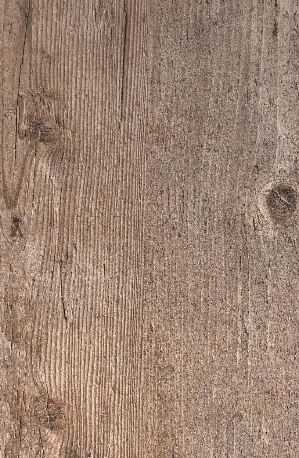 Plateau de table BASIC Pro Werzalit classique Avalon Pine 4729 - dia 60