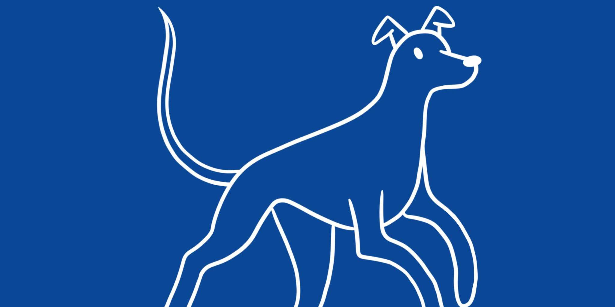 City Dogs Daycare