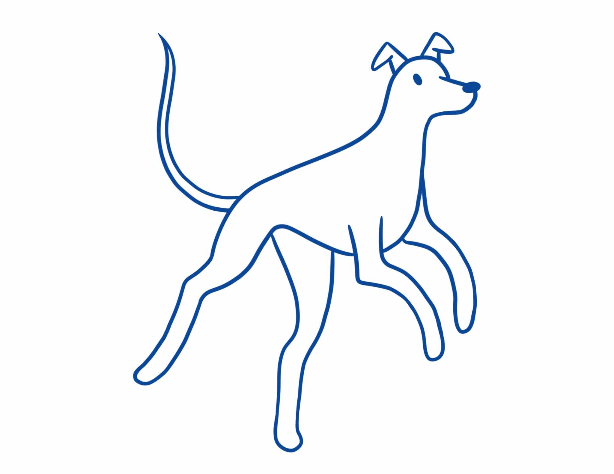 illustration of dog playing