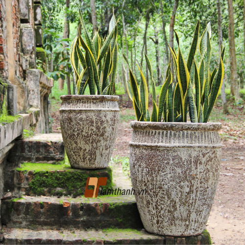 Garden Pots