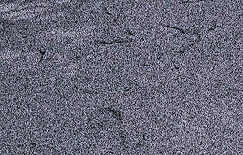 WhatsApp Image 2022-08-12 at 2_edited.jpg