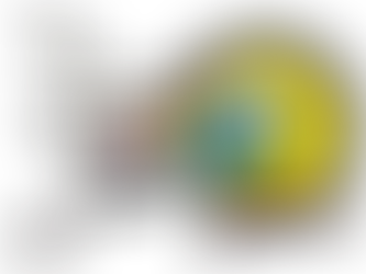 Флешмоб #ErasmusPlus35yearsUkraine