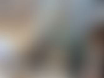 International integration: Workshop (1st day)