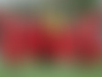 A FRIDAY FULL OF FIXTURES FOR OUR ELITE!