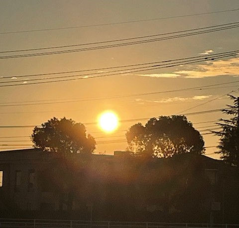 新年のご挨拶：イズミノソラ