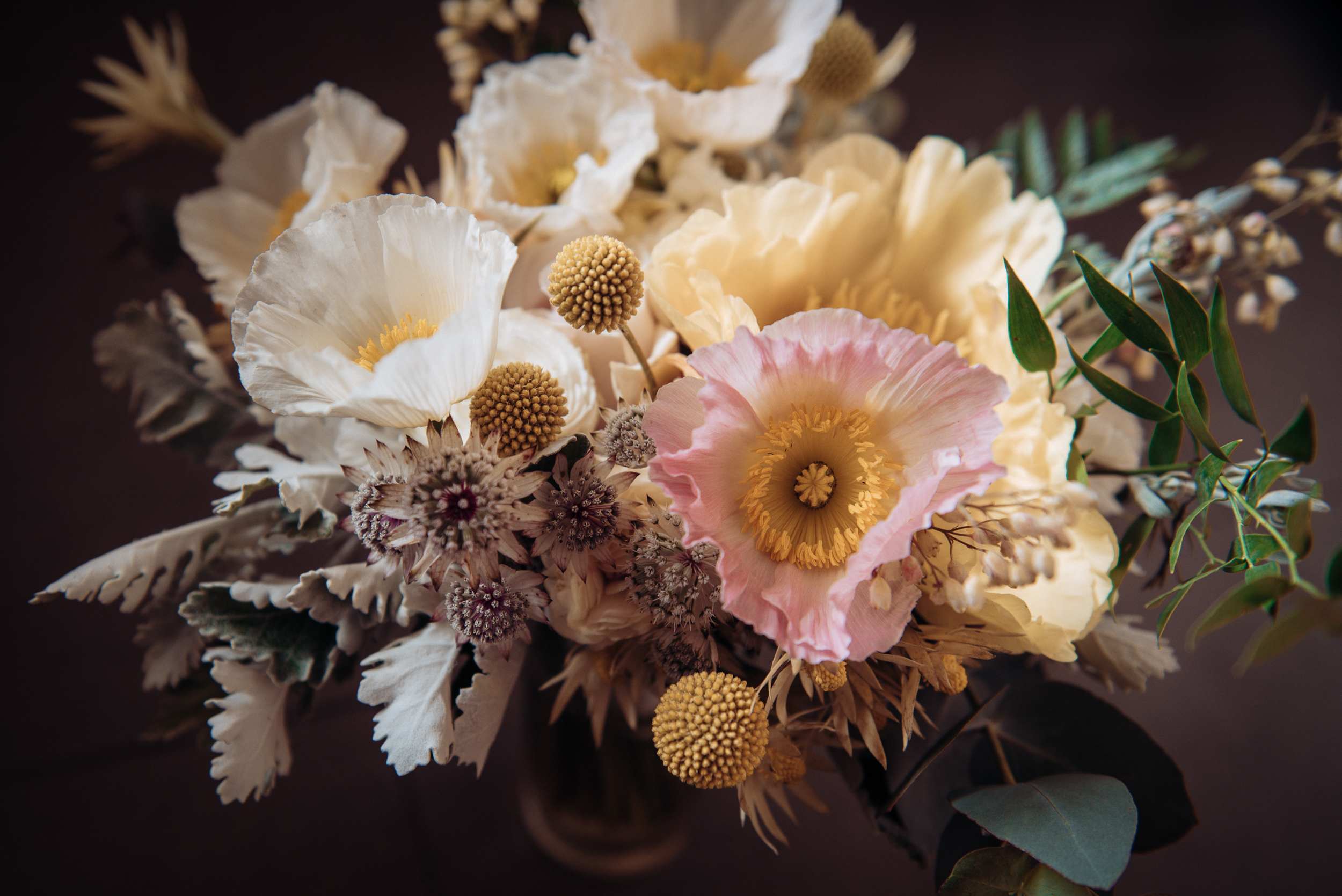 Sarah Ryan Photographer — photo 10 of 18