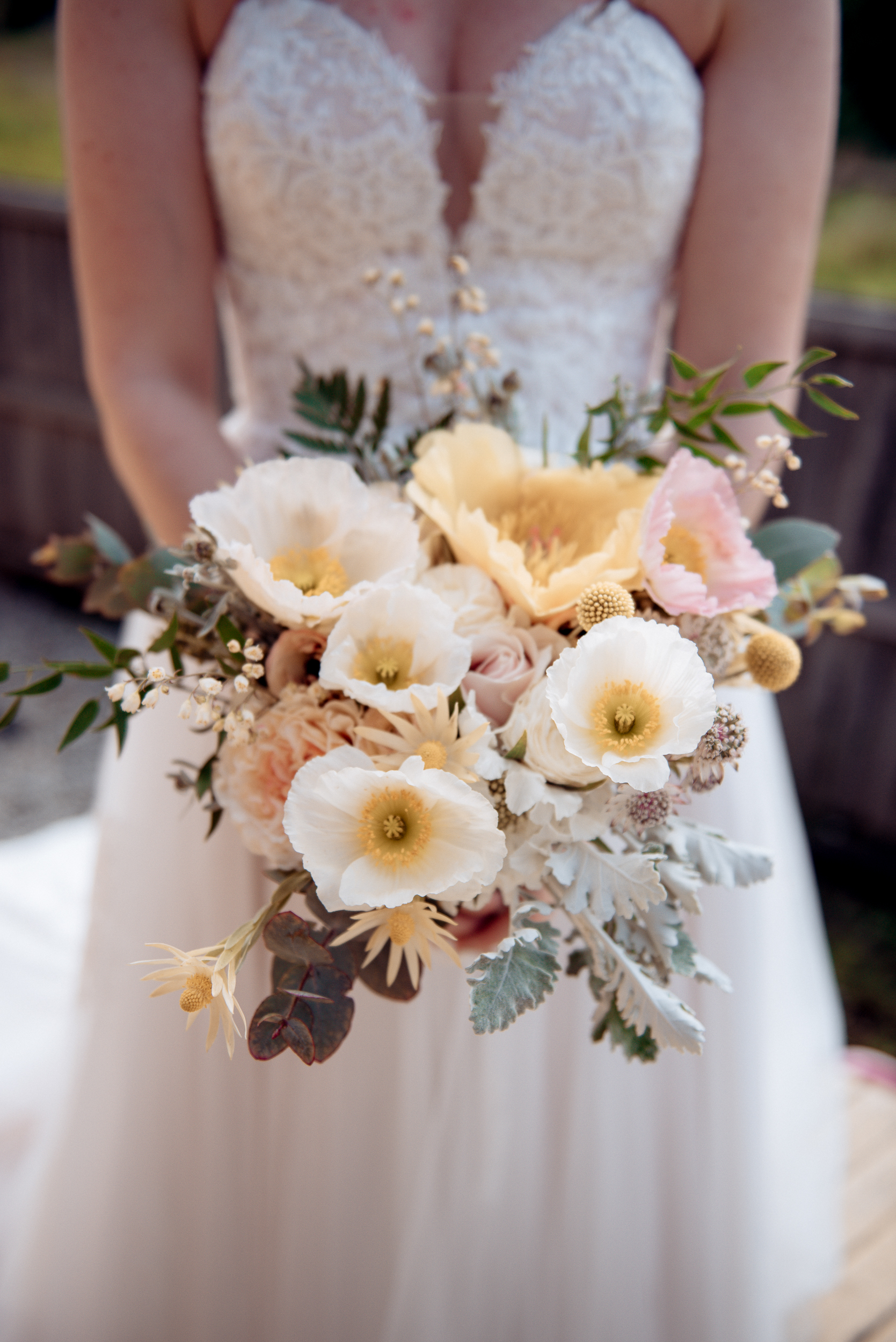 Sarah Ryan Photographer — photo 2 of 18
