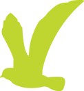 Sam Island Client Logo 8