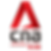 cna 938 logo.png