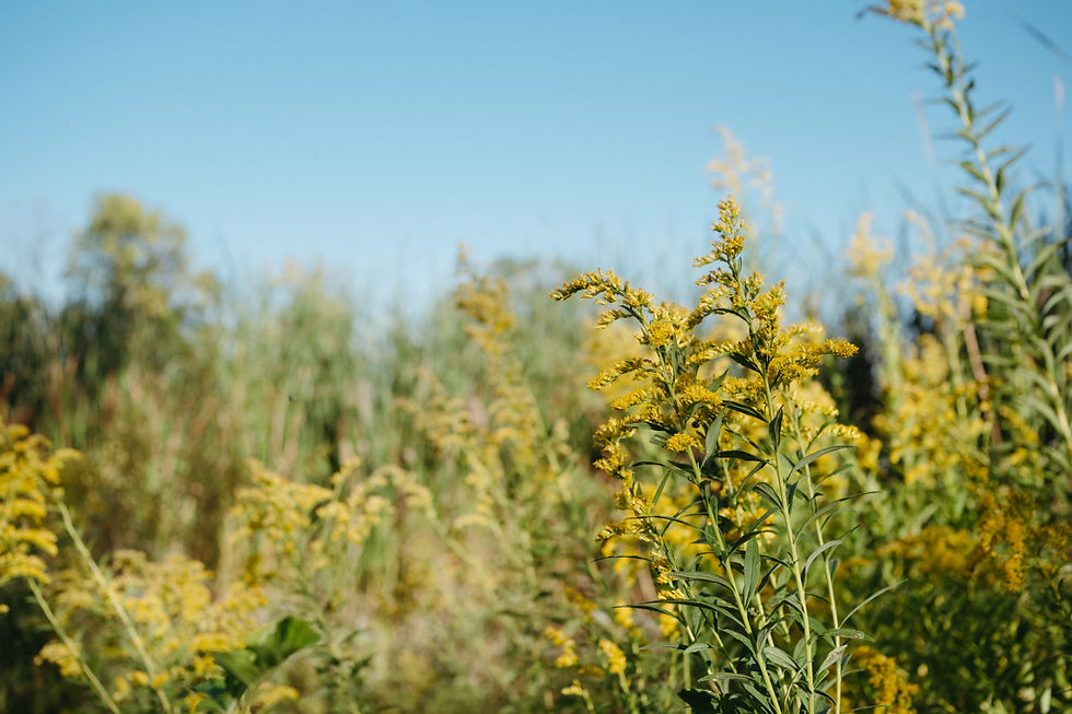 High angle view of a nature retreat center