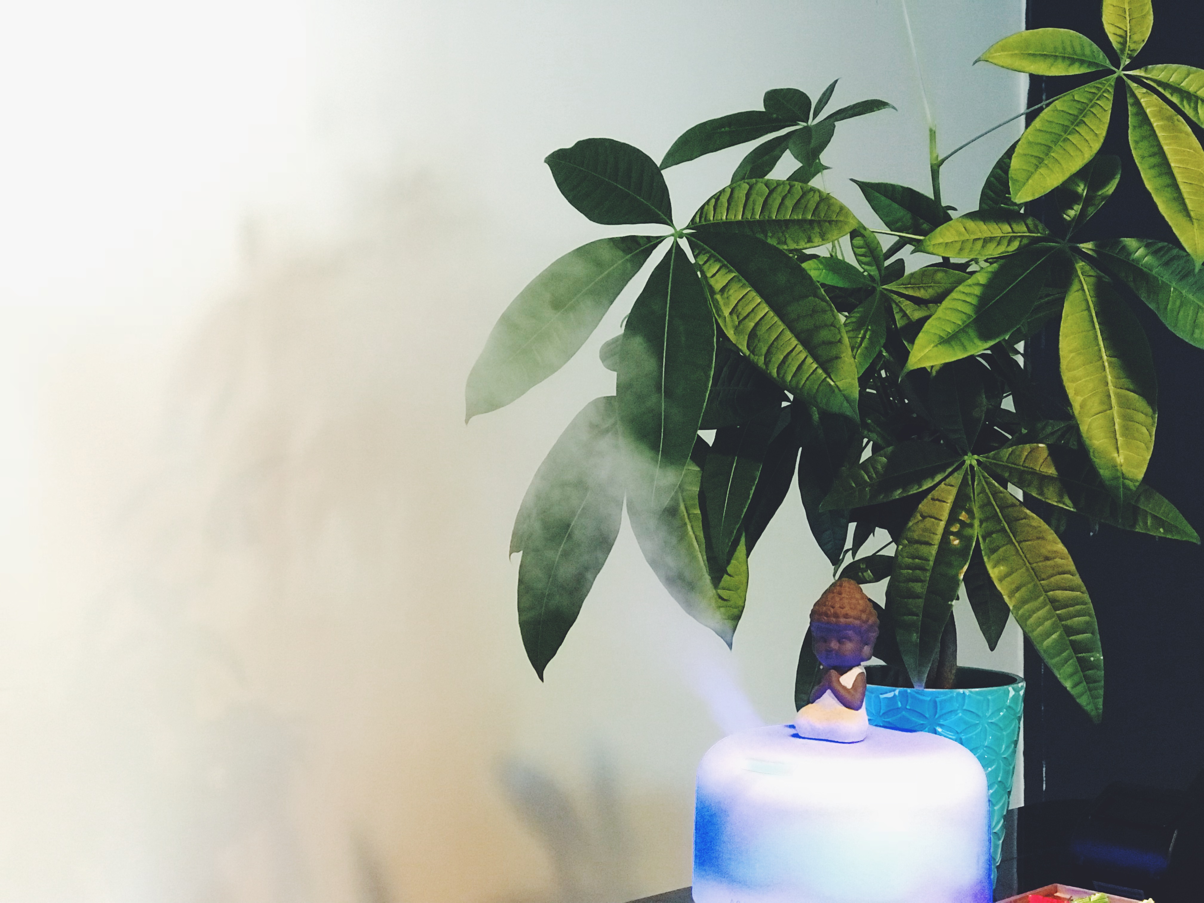 Essential Oil