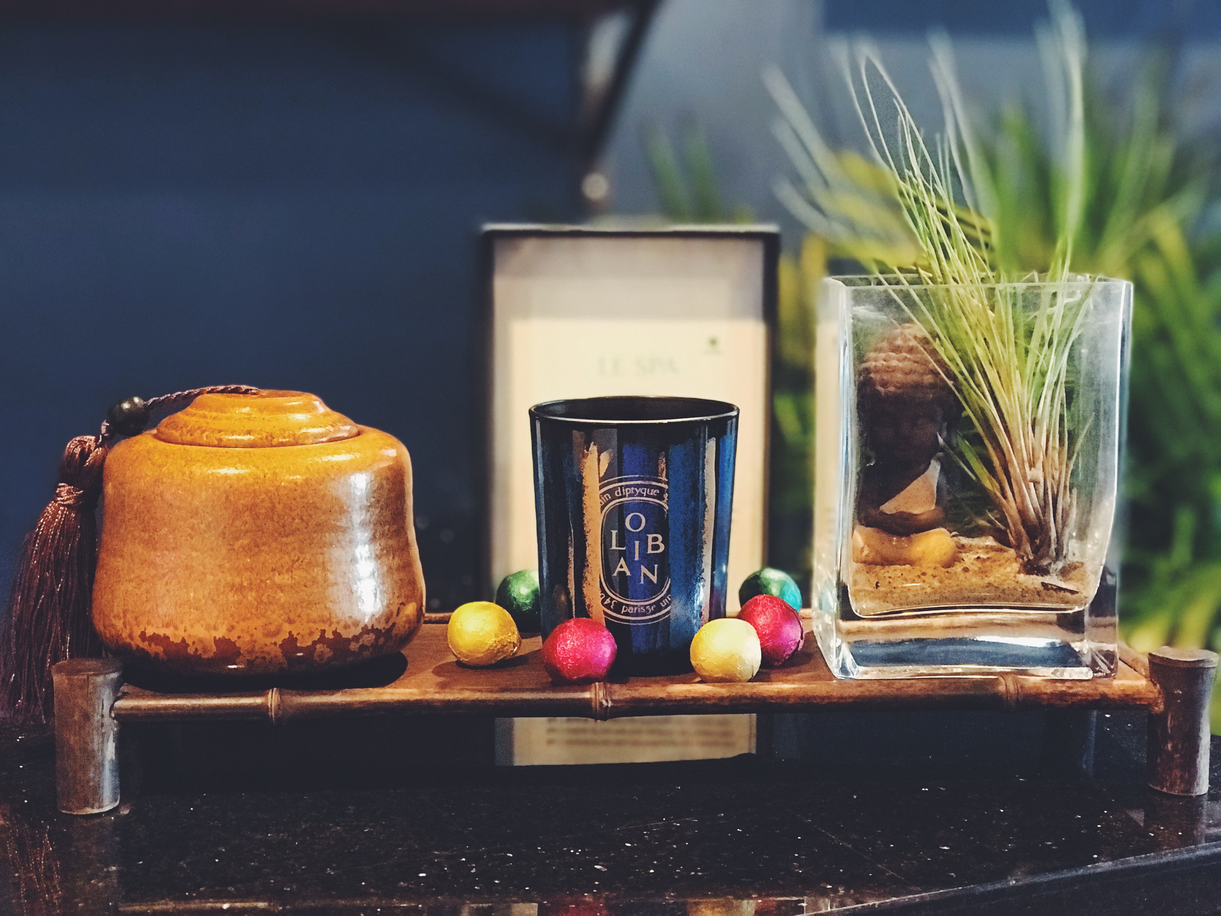 Dyptique Scented Candle