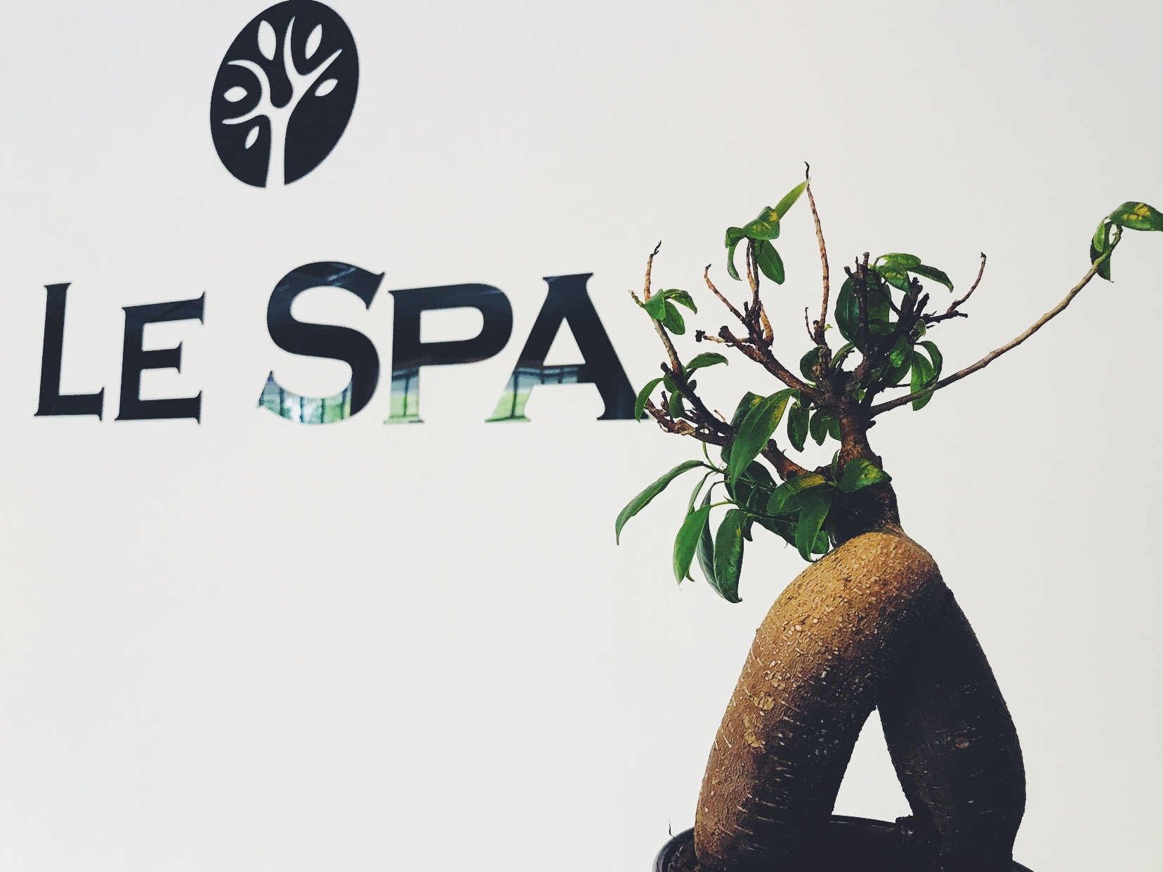 Le Spa