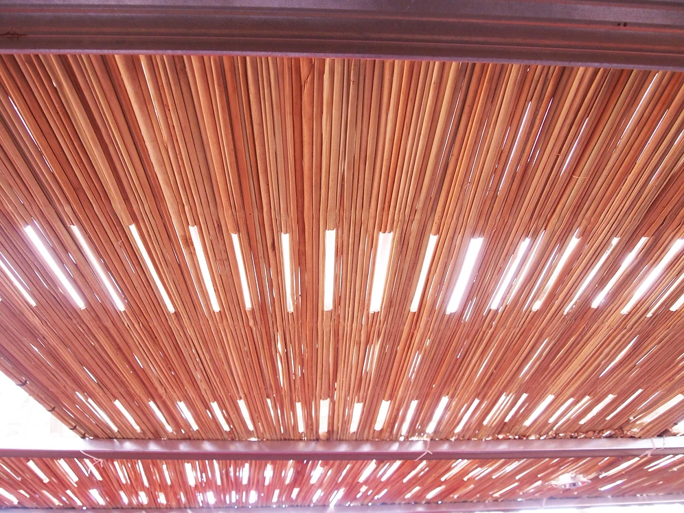 Bamboo ceiling