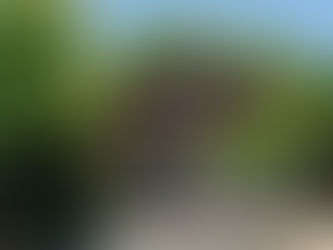 Avant d'agir : Analyser l'état actuel de la jeunesse et l'éducation à Rousset