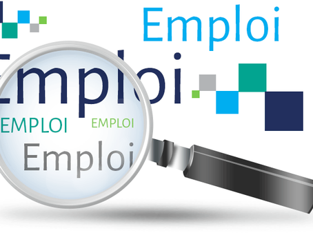 Avant d'agir : Analyser l'état actuel de l'emploi à Rousset