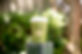 IMG_0012.jpeg