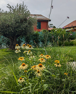 PXL_20240620_151155679 (1).jpg