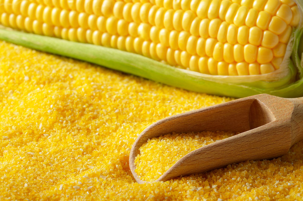 Maize Grits
